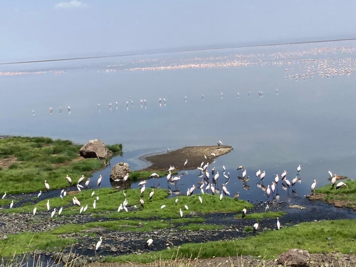 Lake Natron Maasai Guesthouse Mtowabaga Εξωτερικό φωτογραφία