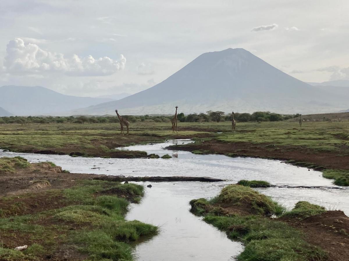Lake Natron Maasai Guesthouse Mtowabaga Εξωτερικό φωτογραφία