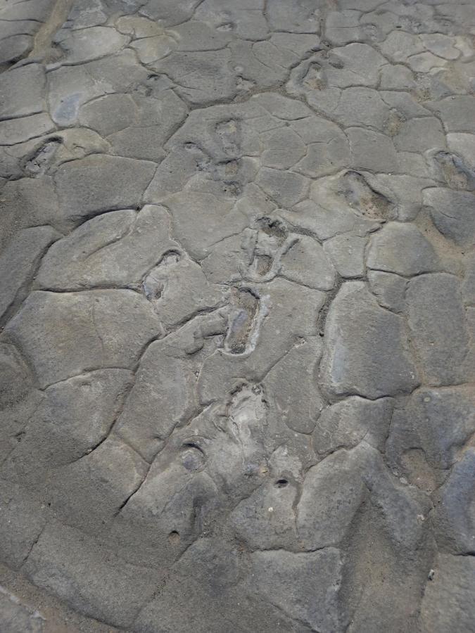 Lake Natron Maasai Guesthouse Mtowabaga Εξωτερικό φωτογραφία