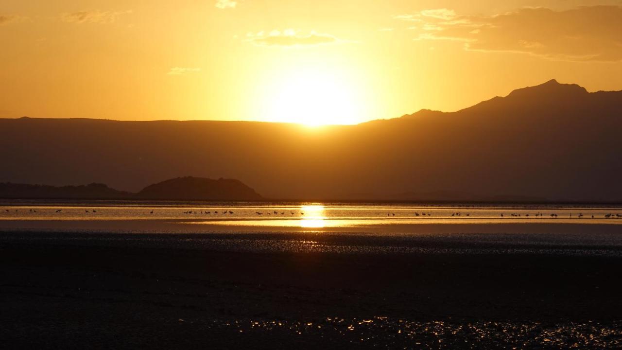 Lake Natron Maasai Guesthouse Mtowabaga Εξωτερικό φωτογραφία